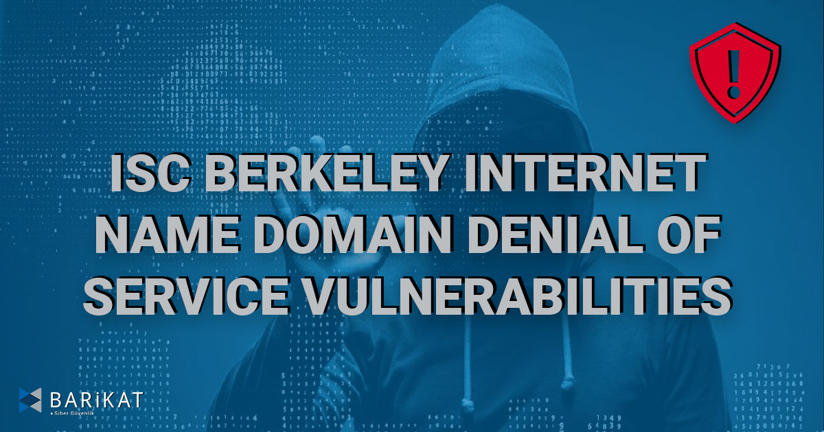 ISC Berkeley Internet Name Domain Denial of Service Vulnerabilities